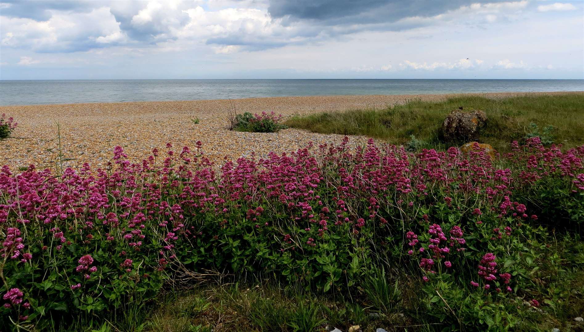 The pebble beach at Sandwich