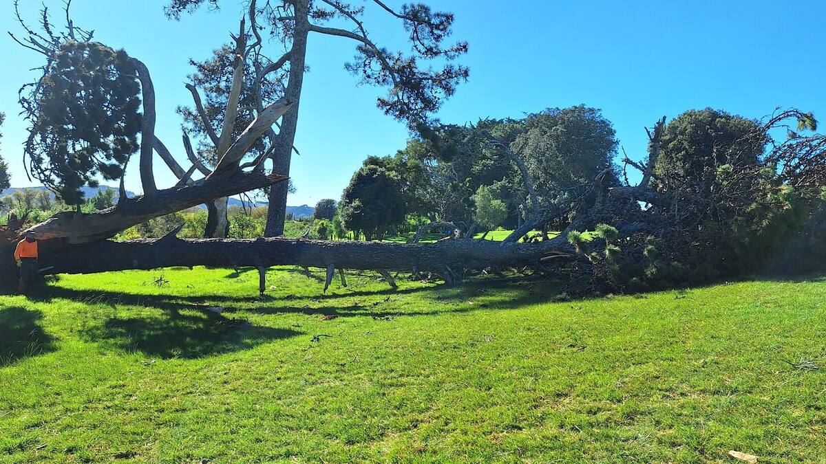 Gisborne golf courses copped it from Vaianu on Sunday