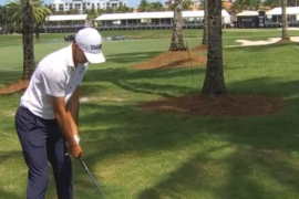 Jordan Spieth curves the ball through the trees right to the green. He has opened in 7-under 65 at the Cadillac Championship