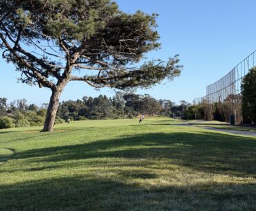 Stinger or moonshot?