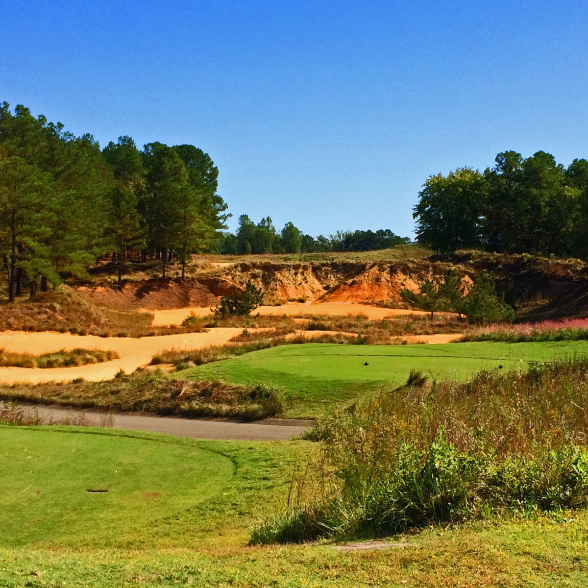 Best Public Golf Courses in the Southeast Best Public Golf Courses in the Southeast