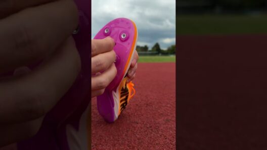 Puma evoSPEED Long Distance Nitro Elite 3