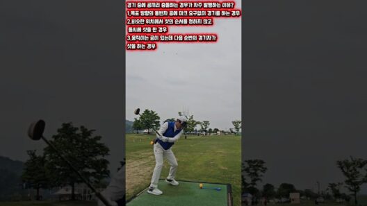 파크골프지도자대회 롱기스트선발전 굿샷 칠곡파크골프협회 파크골프규칙