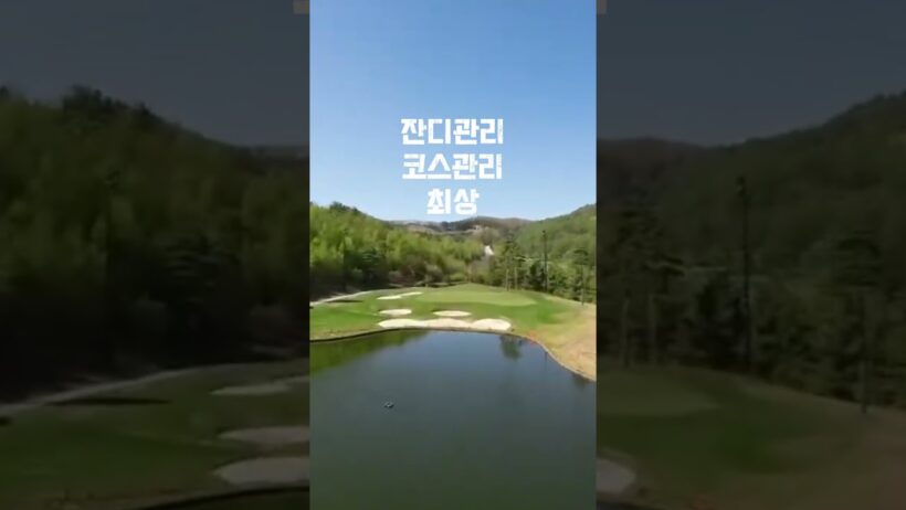 한여름에도 시원한 골프여행⛳ 하이원CC 특가 추천