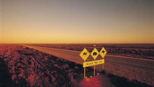 Australia has the world’s longest golf course: Nullarbor Links