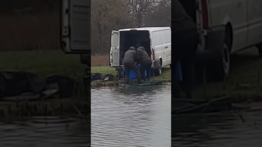 Spotted at The Laneside Fishery in Warrington 😡Two anglers loading carp into van...  #fishing #carp