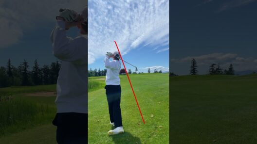 Relatable Hole With a 21 HCP (I'm horrible)  #golf