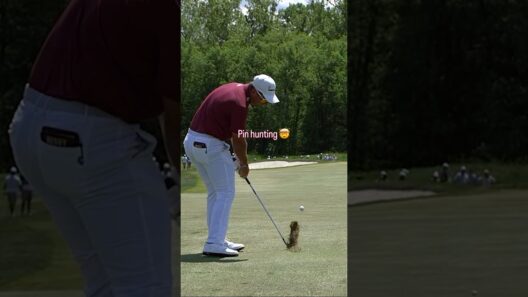 How to guarantee birdie 🐦