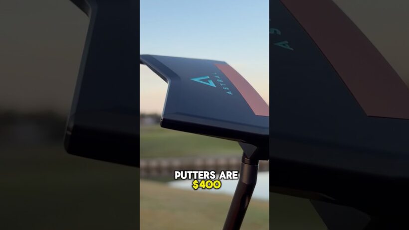 $250 BUDGET For A Putter Gets You?!