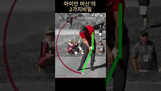 타이거 우즈 아이언이 '백스핀'과 '탄도'를 다 잡는 이유
