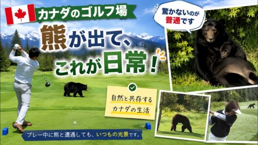 【カナダ・ウィスラー】ゴルフ中に熊出現…人間と熊が共存するリアルな環境