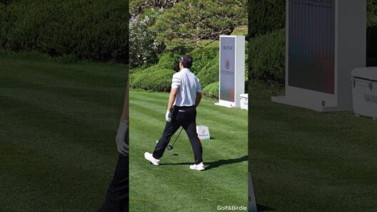 배상문 프로의 상체의 충분한 꼬임(Coiling)에 집중한 스윙 #배상문프로 #골프채 #golf #golfswing #골프스윙 #골프레슨 #골프 #골프존
