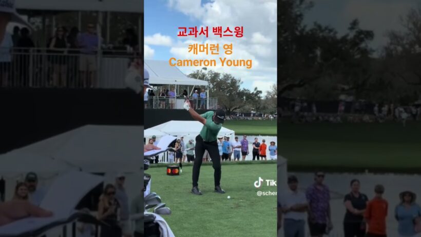 백스윙 리듬 #골프 #golfswing #골프레슨 #골프스윙 #아이언샷 #골프리듬 #아이언#스윙 리듬 #드라이버 #golf #Cameron Young