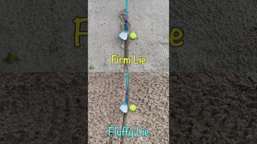 FIRM vs FLUFFY Bunker Lie TECHNIQUES #golf  #golfswing #golftechnique