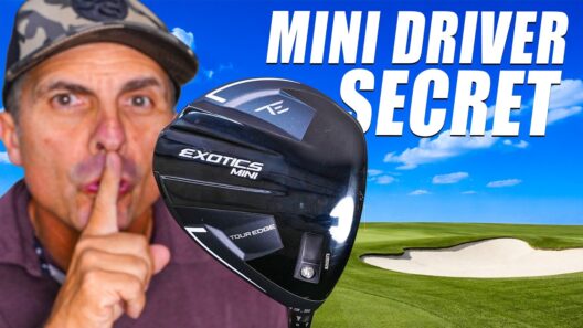 The Secret Nobody Knows to Make the MINI Driver Work!