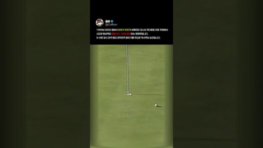 1999 라이더 컵을 뒤집은 타이거 우즈의 기적 같은 칩인 #TigerWoods #Brookline #RyderCup #FlopShot #GolfHistory