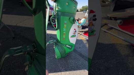 RARE Disney Golf Bag Flea Market Find