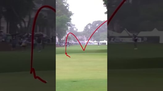 Cameron Young’s Impossible Recovery Shot at 2023 RBC Heritage