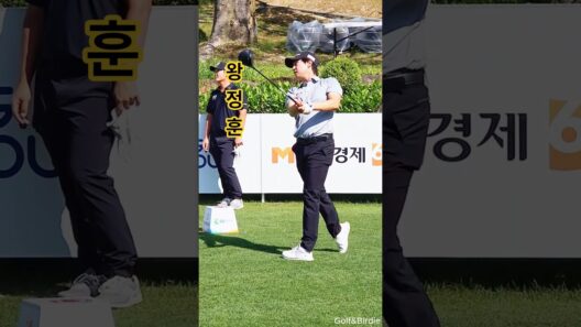 왕정훈 프로의 강력한 골반 회전과 지면반력으로 스윙을 리드 #왕정훈프로 #골프채 #golf #골프존 #골프스윙 #골프레슨 #골프레슨영상