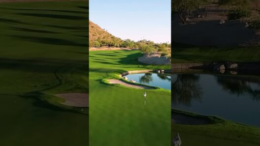 Paradise Valley Golf Course is ELITE #golf