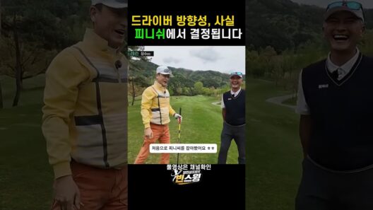 피니쉬 하나 바꿨는데 방향성이 달라졌습니다 #골프  #골프레슨 #드라이버