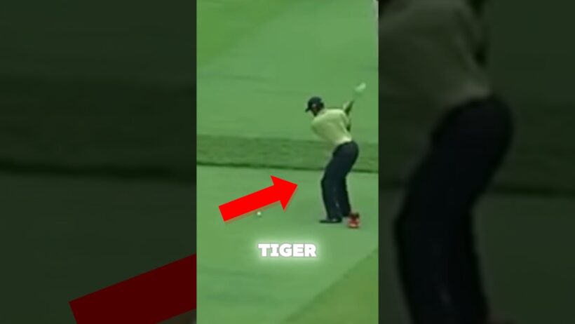 Tiger woods is magic #tigerwoods #golf #pga #fyp #viral #golfvideo