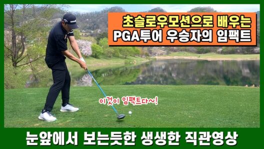 [1분 스윙] 배상문 PGA투어 우승자의 드라이버 🔥 초고속 슬로우모션 — 비거리 못 내는 골퍼 필수 시청 #골프 #스윙분석 #비거리