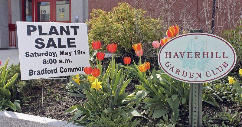 Spring plant sales in Haverhill, Groveland - Eagle-Tribune