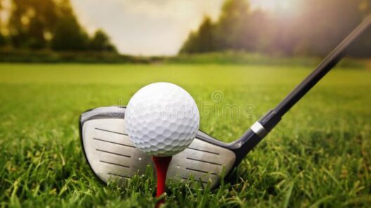 Several area atheltes, team to hi the course for state golf | Sports