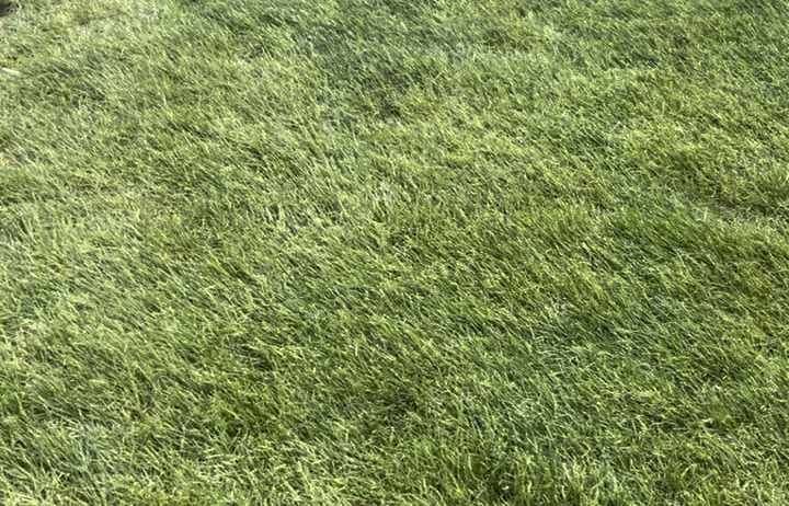 Matchplay Finals…. Competition tells me I should take an unplayable……… yea right.