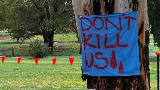 Don't Kill Us! Protest signs adorn North Adelaide Golf Club gums as works begin