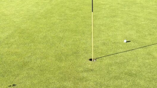 Closest I’ve ever been to an Ace. Must’ve trickled right past the hole.