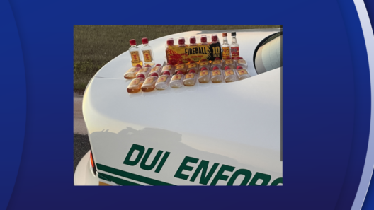 Woman charged with DUI after driving car on golf course: PCSO