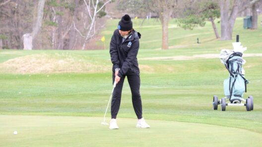 Girls Golf: Fromm scores hole-in-one as Warriors place 4th - Brainerd Dispatch