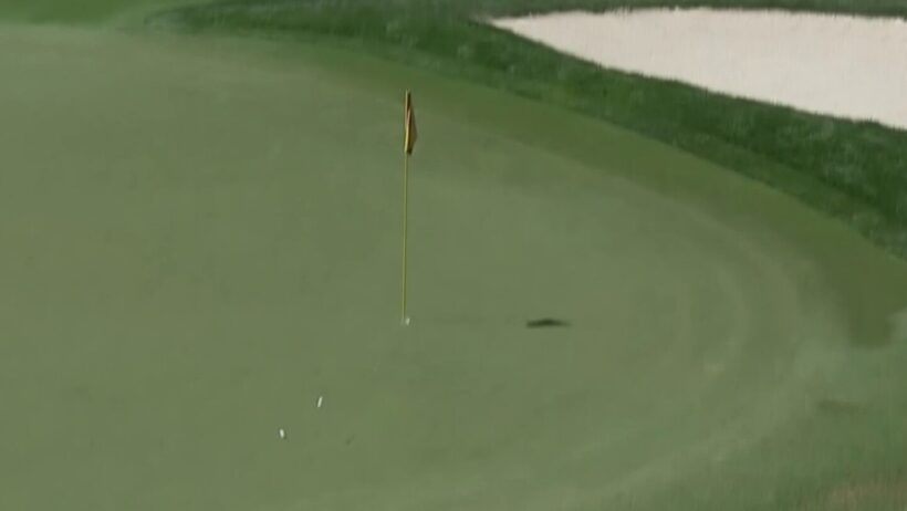 The probability is what?! AI's answer to rare moment at Myrtle Beach Classic might shock you