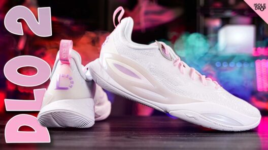 D'Angelo Russell's NEW HOOP SHOE! Wade DLO 2 Detailed Look & Review!