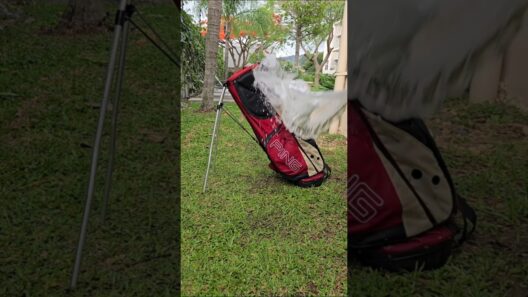 $200 Trash Can Find: Ping Hoofer ASMR Rescue #golfbag #pinggolf #pinghoofer #diy #cleaning #asmr