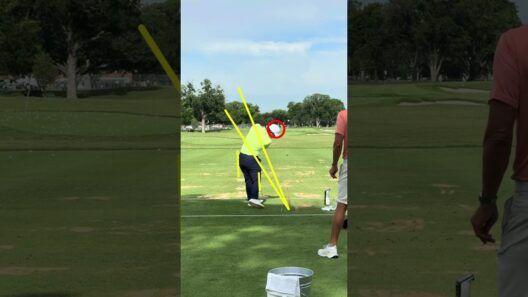 Why One of These Pro Golf Swings Will Last Longer!