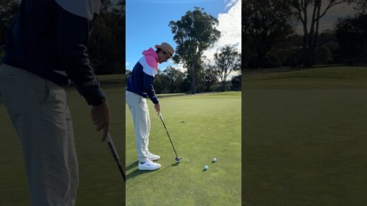 Which putter do I choose? #golf