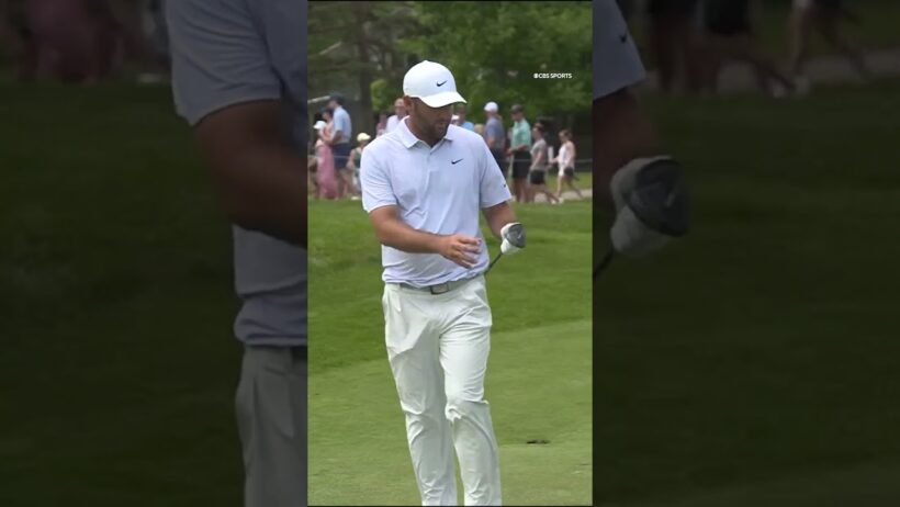 Scottie took advantage of a relief he got from a sprinkler 😮 #shorts #golf #pgatour
