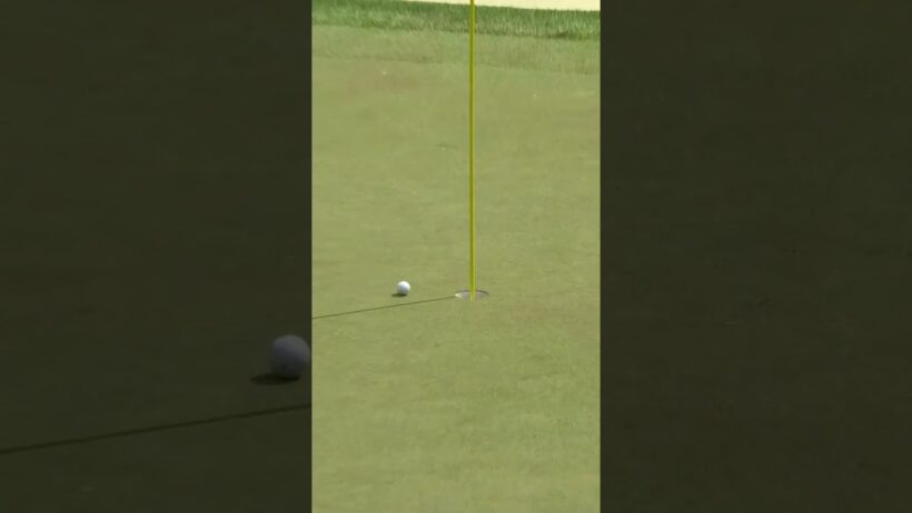 Perfect escape from the rough 🦅