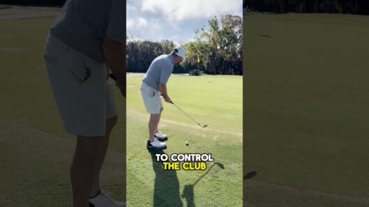 TEXAS Wedge vs REGULAR Wedge