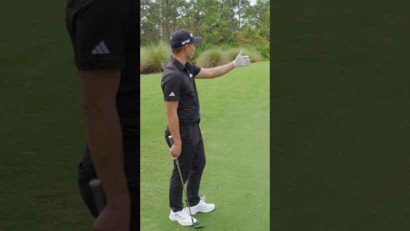 Collin Morikawa and Grant Horvat get surgical with TP5 vs TP5x around the green
