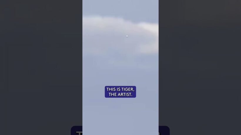 Only Tiger Woods could hit THIS shot! 💥