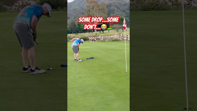 Putting Drama at Soule Park! | Makes, Lip-Outs & Close Calls #golf  #viral