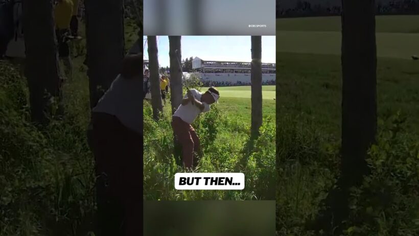Probably wondering how Keith Mitchell ended up here... #shorts #golf #pgatour