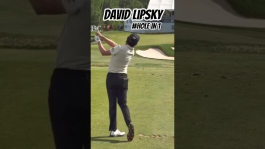 David Lipsky #golfswing #holeinone