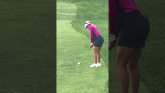 #golfswing #fyp #followthrough #waitforit