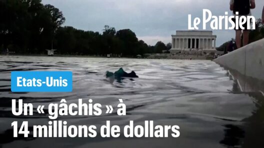 14 millions de dollars dépensés pour le « bassin de Trump »… et déjà un désastre