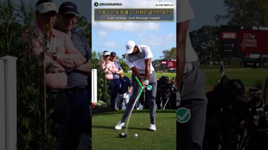 타이거 우즈 드라이버 레깅｜빨리 풀면 다 잃습니다 Tiger Woods Driver Lag #Shorts #golfshorts #golf #golfswing